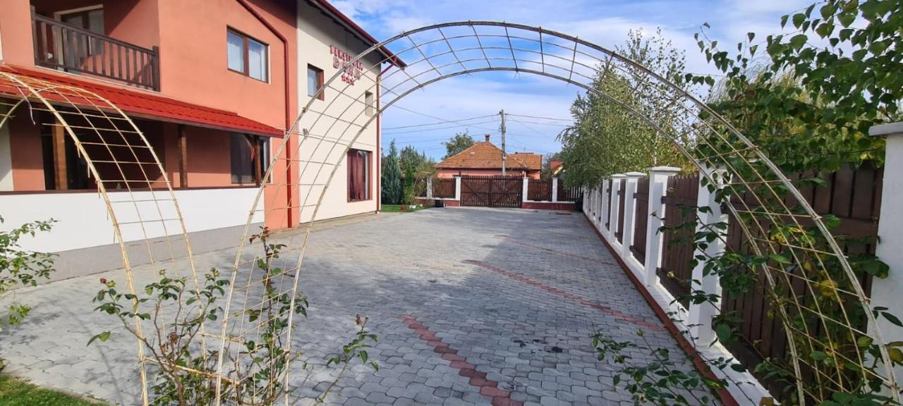 Pensiunea Dara Рышнов Экстерьер фото